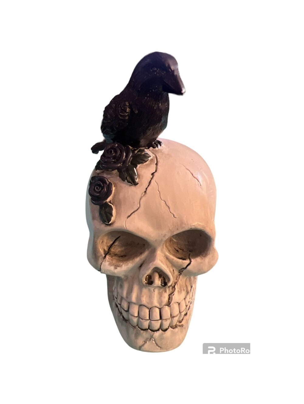 HALLOWEEN Decorative Skull with Raven and purple Roses Figurine
